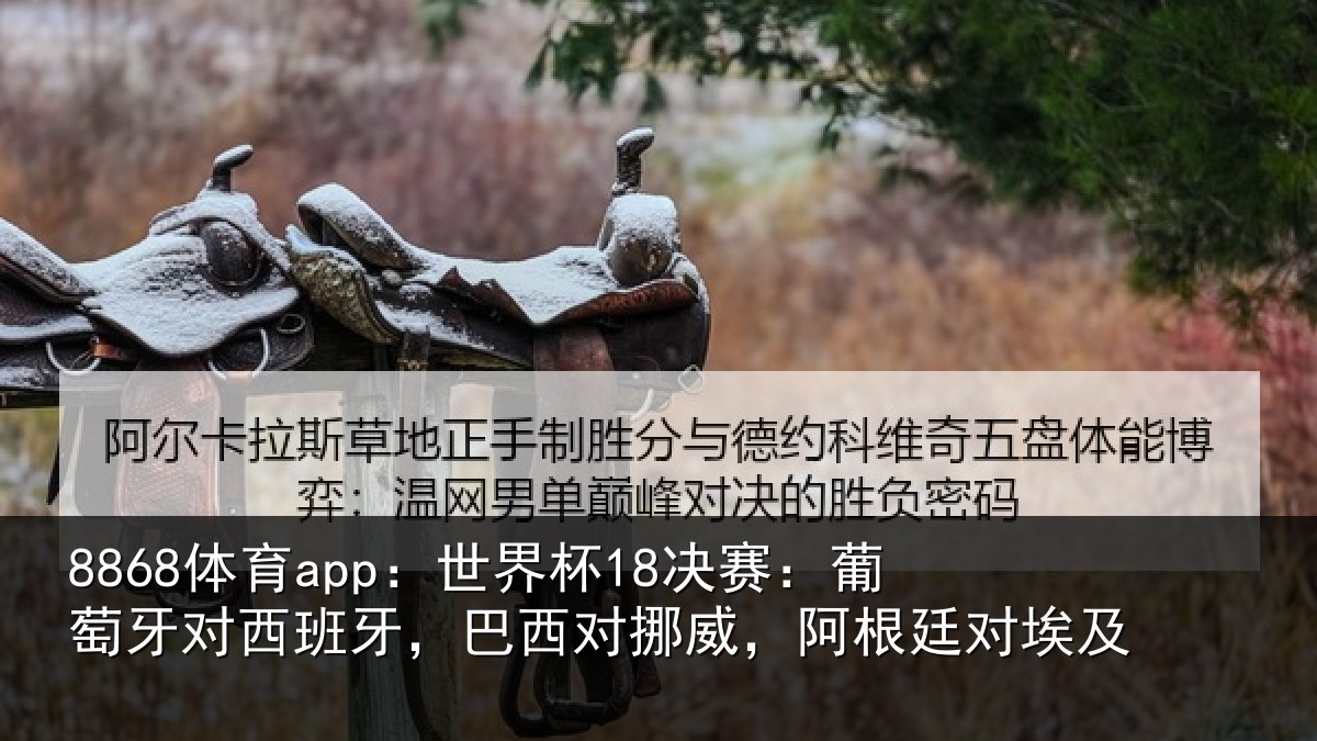 8868体育app：世界杯18决赛：葡萄牙对西班牙，巴西对挪威，阿根廷对埃及