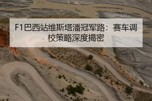 F1巴西站维斯塔潘冠军路：赛车调校策略深度揭密
