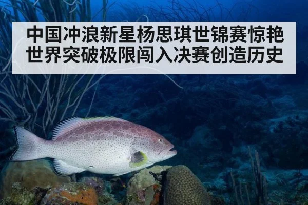 中国冲浪新星杨思琪世锦赛惊艳世界突破极限闯入决赛创造历史